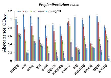13종 효능 식물의 Propionibacterium acnes 에 대한 MIC 시험 결과