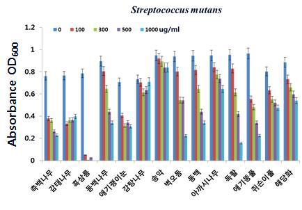 13종 효능 식물의 Streptococcus mutnas 에 대한 MIC 시험 결과.