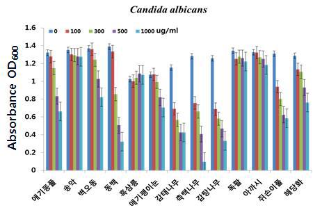 13종 효능 식물의 Candida albicans 에 대한 MIC 시험결과.