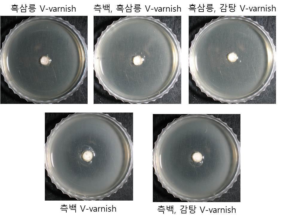 Radial diffusion assay를 통한 천연물 추출물과 바니시 혼합물의 Streptococcus mutans에 대한 항균효과