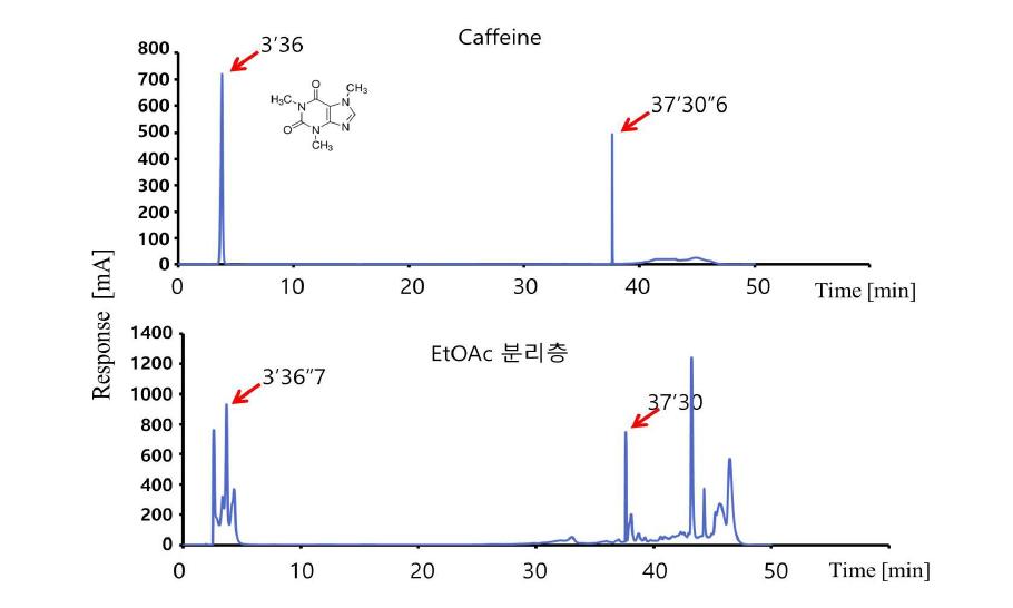 HPLC 분석을 통한 caffeine의 함량 확인