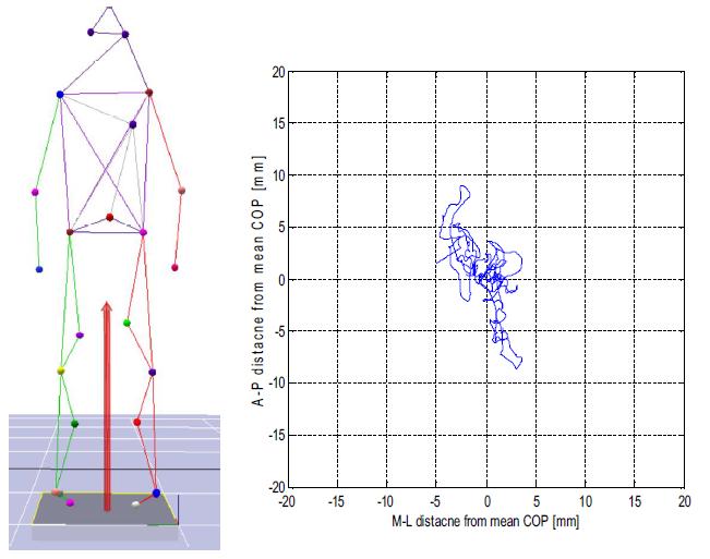 인체의 COP와 COP 궤적