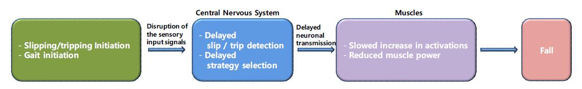 자세균형능력의 저하로 인한 낙상 프로세스