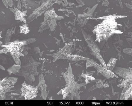 제조된 탄산리튬의 SEM 사진