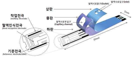 혈당 및 헤마토크릿 측정 검사지의 구성