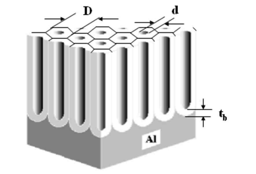 아노다이징을 이용한 이론적인 Ti 산화막 형태