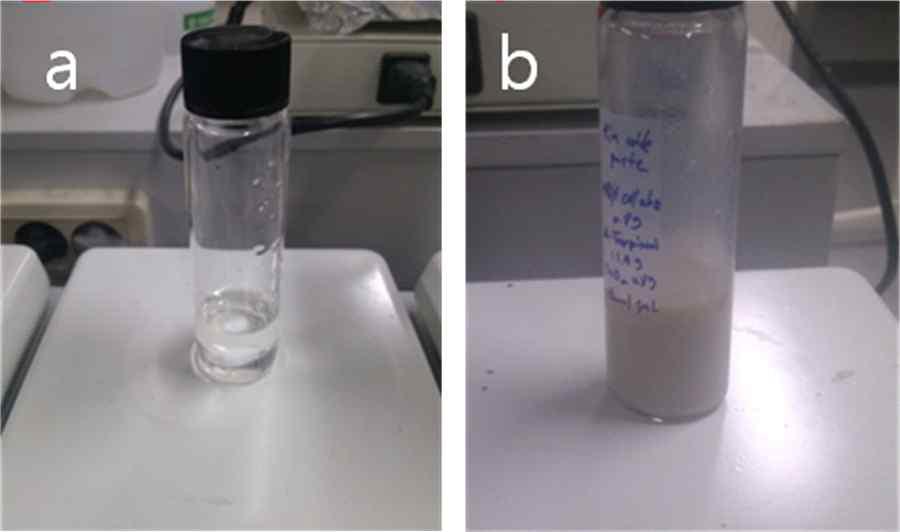 Ethyl Cellulose와 α-Terpineol 혼합용액(a), Tin oxide nanoparticle paste (b)