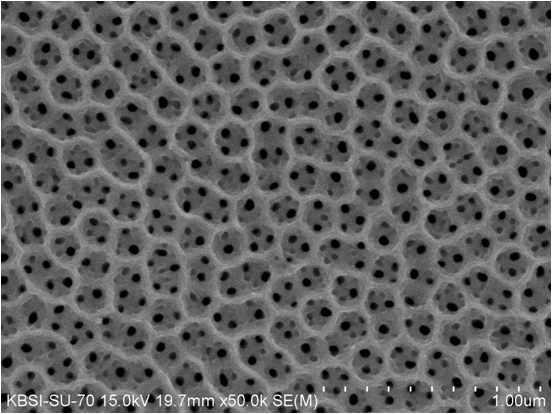2차 양극산화 한 TiO2 나노튜브 어레이의 FE-SEM 이미지