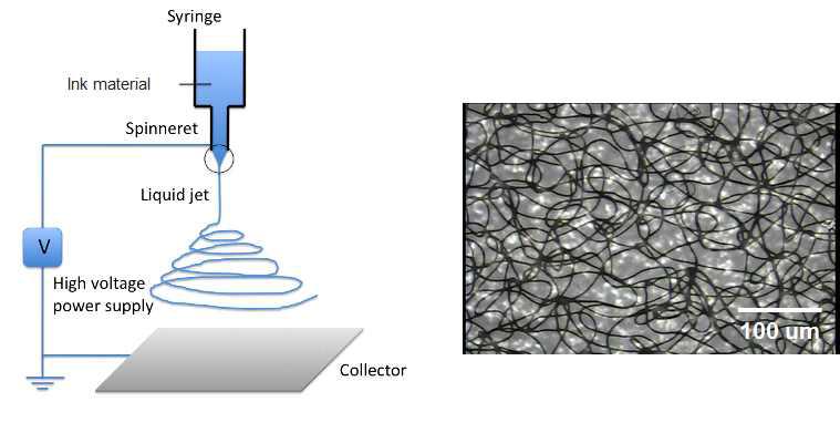 랜덤 그물 망사형 패턴을 위한 EHD jetting 모식도(左), 패턴된 그물 망사형 패턴의 광학 현미경 사진(右)