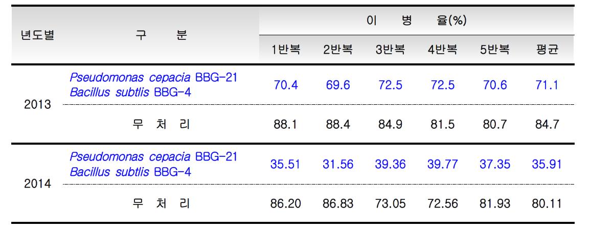 길항미생물 처리에 의한 오디균핵병 이병률