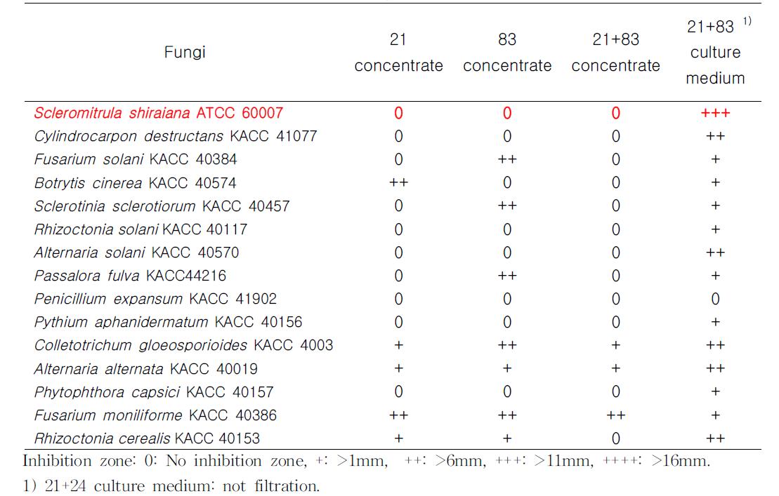 Antifungal spectrum of culture concentrate and culture medium.