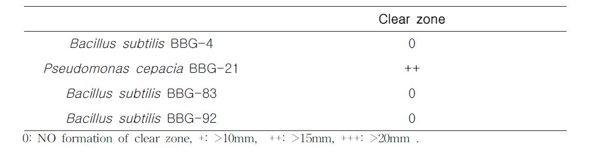 Ca3(PO4)2 solubilization by BBG strains