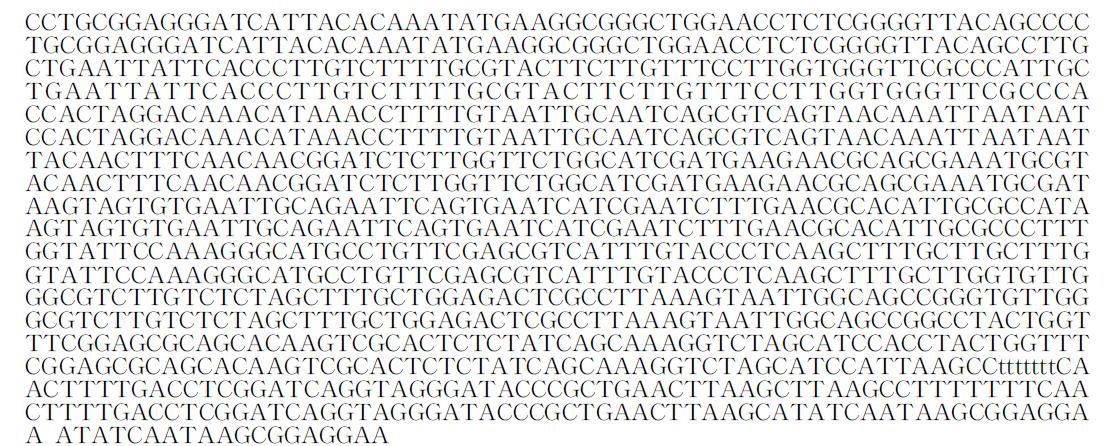 18S rDNA sequence of OD 1(Alternaria alternata).