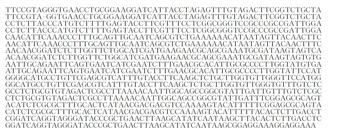 18S rDNA sequence of OD 3(Epicoccum sp.).