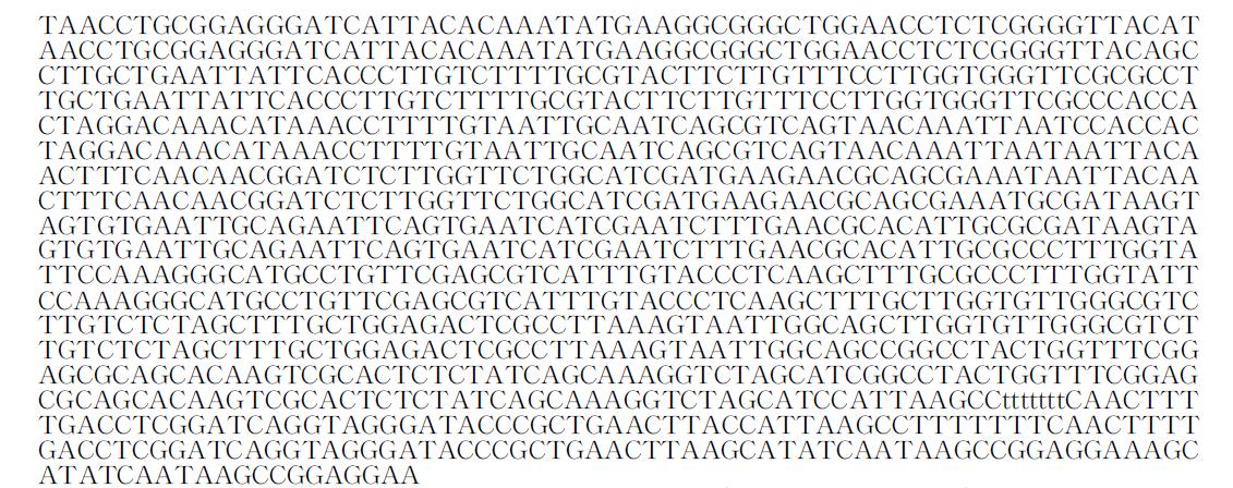 18S rDNA sequence of OD 4(Alternaria brassicae).