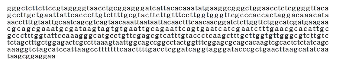 18S rDNA sequence of OD 6(Alternaria porri).