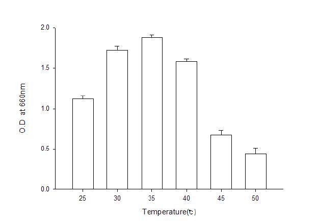 Effect of temperature to the growth of Bacilllus subtilis BBG-83.