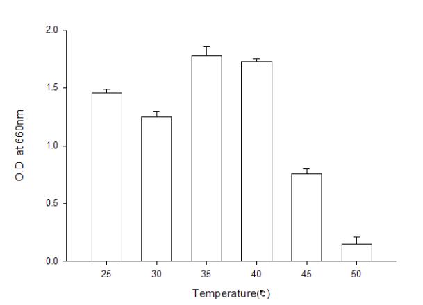 Effect of temperature to the growth of Pseudomonas cepacia BBG-21+ Bacilllussubtilis BBG-83.