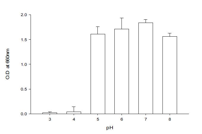 Effect of pH to the growth of Pseudomonas cepacia BBG-21.