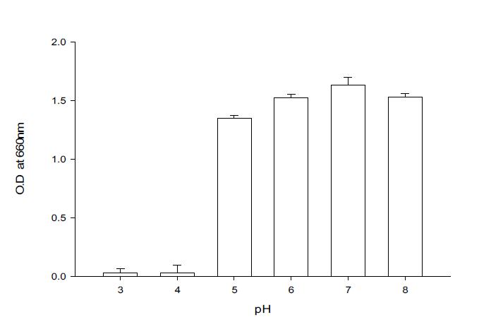 Effect of pH to the growth of Pseudomonas cepacia BBG-21 and Bacilllus subtilis BBG-83.