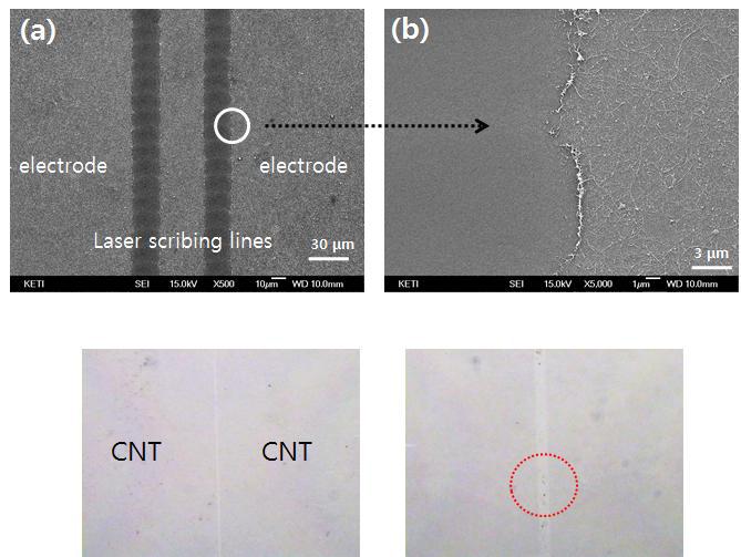 CNT 기반 투명전극 레이져 패턴 SEM 구조