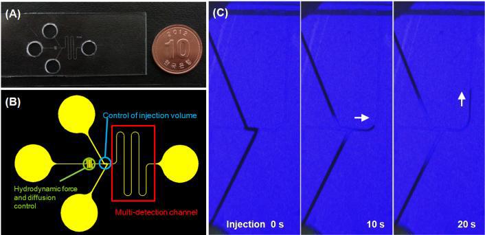 제작된 마이크로칩 (A)그림 및 (B) 모식도와 (C) 최적화된 주입조건에서 시료주입제어 과정