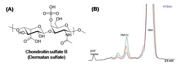 (A) Chondroitin sulfate B의 구조와 (B) 반응 후 HbA1c와 HbA의 분리 예