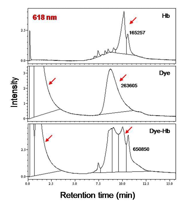 618 nm 검출 파장에서 시료별 분리의 크로마토그램 (HPLC)(20 mM HEPES buffer with pH 6.5, 0~2 min no salt, 2~10 min 0.1 M NaCl salt gradient)