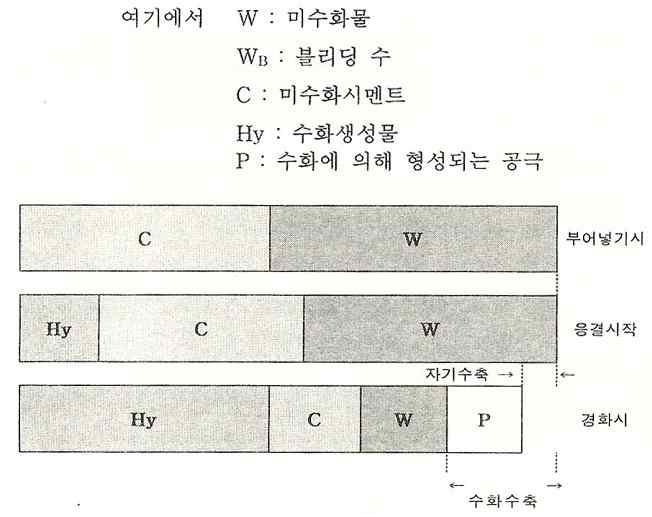 수화수축과 수평방향의 자기수축의 관계