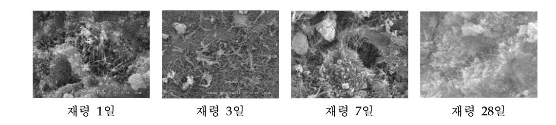 초고성능 그라우트 재령별 SEM 촬영 사진 (×5,000)