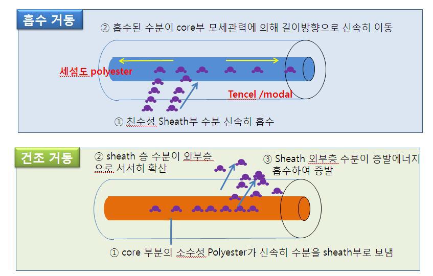 Sheath/core 방적사 흡수건조 거동