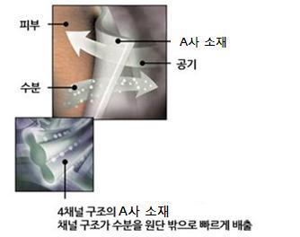 A사의 단면구조