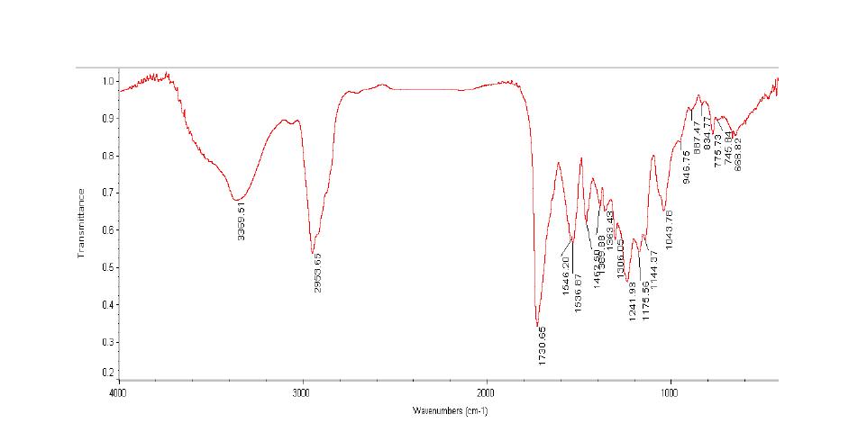 불소 아크릴-우레탄(A-1)의 FT-IR spectrum