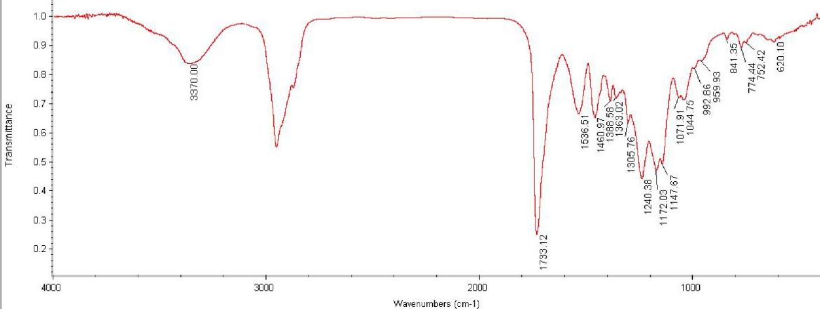 불소 아크릴-우레탄 공중합체(A-4)의 FT-IR spectrum