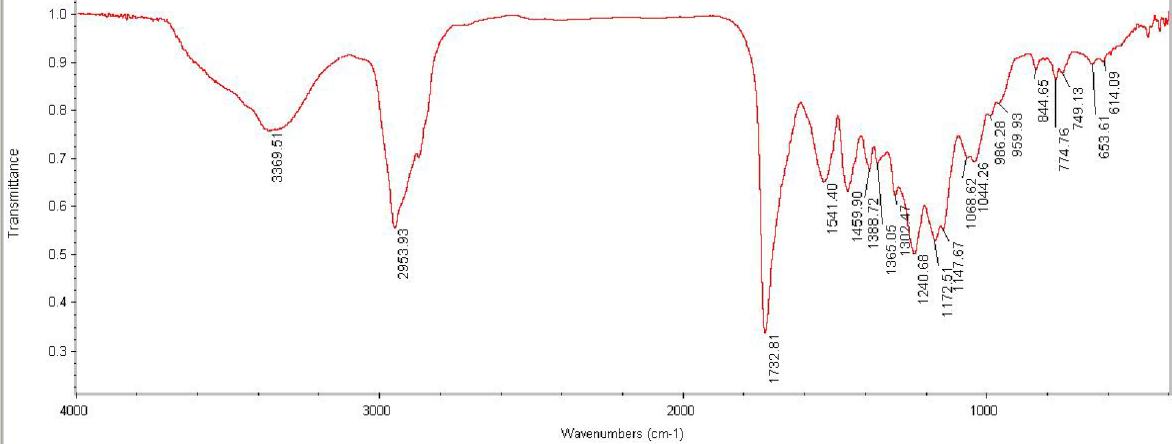 실리콘 아크릴-우레탄 공중합체(S-2)의 FT-IR spectrum