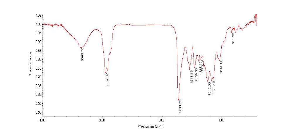 아크릴-우레탄 공중합체(UA-4)의 FT-IR spectrum