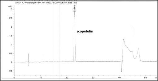 Scopoletin 표준물질의 chromatogram