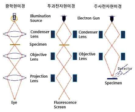 전자현미경 모식도