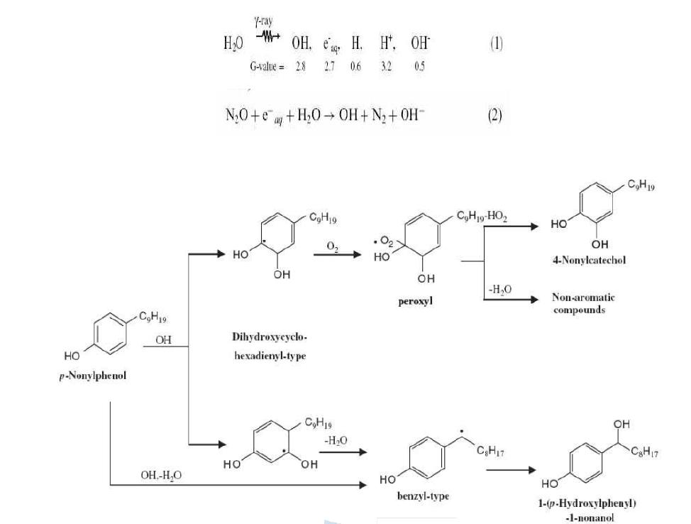 전자빔에 의하여 발생된 OH 라디칼의 노닐페놀의 산화분해 메카니즘