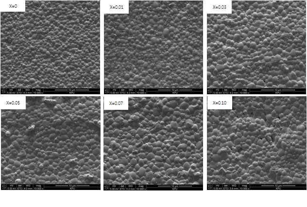 PZN-PZT-BCZ 세라믹의 SEM 표면 분석