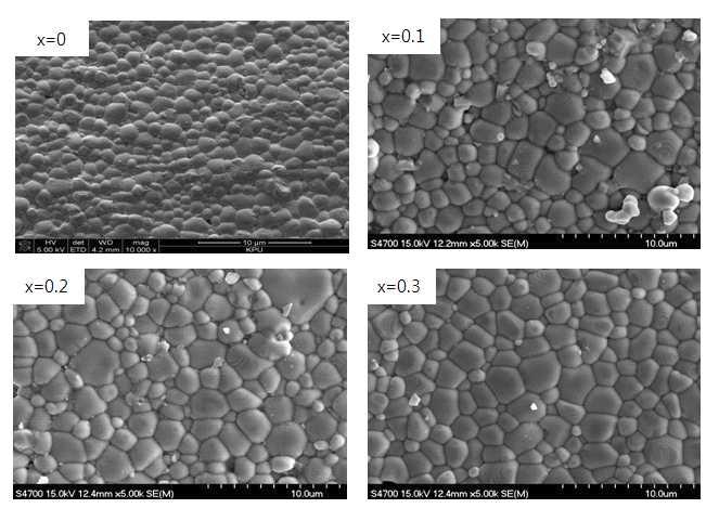PZN-PZT-3BCZ-x wt%Mn 의 Mn 함량에 따른 SEM 미세구조 이미지
