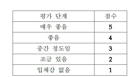 주관적 입체감 평가 등급