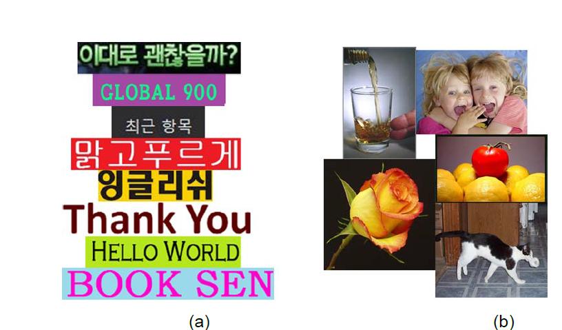 AdaBoost의 훈련 집합의 예. (a) 텍스트 집합 및 (b) 영상집합