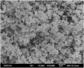 FE-SEM image of WC powder