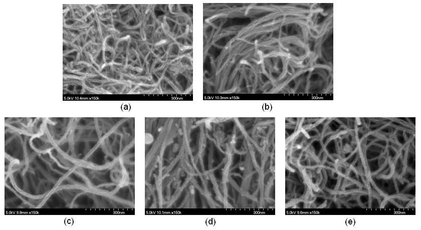 산화물 코팅 MWCNT SEM 이미지 : (a) MWCNT, (b) 세정된 MWCNT, (c) TiO2 코팅 MWCNT, (d) Al2O3 코팅 MWCNT, (e) SiO2 코팅 MWCNT
