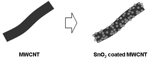 SnO2 coated MWCNT 개념도