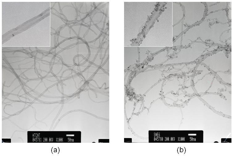 SnO2 코팅 이전의 MWCNT와 코팅 이후의 MWCNT의 TEM 사진