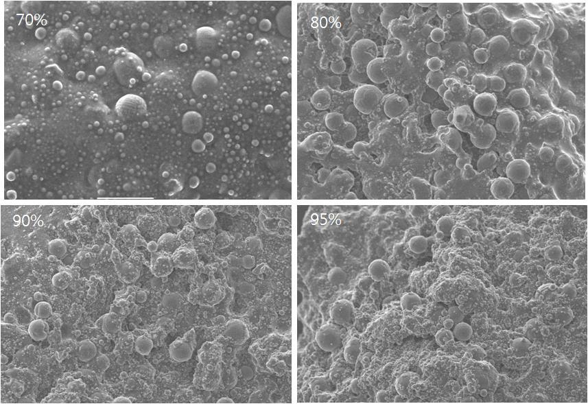 충진율에 따른 전자 현미경 사진