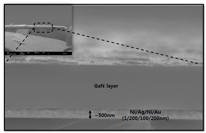 Cu 기판에서 분리된 VLED 칩을 이용하여 Ni/Ag/Ni/Au의 단면을 촬영한 SEM 이미지