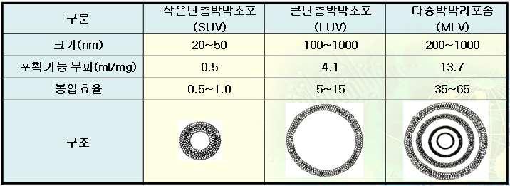 리포좀의 종류 및 특성